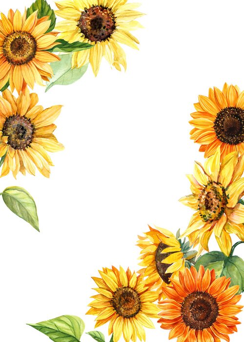 Poster  Cadre de tournesols aquarelle