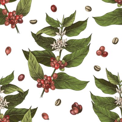 Papier peint à motif  Café aromatique