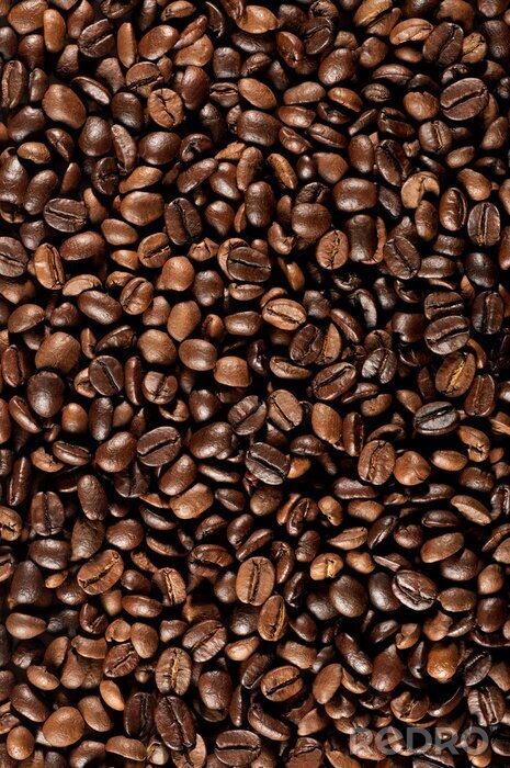 Poster  Café en grains torréfié