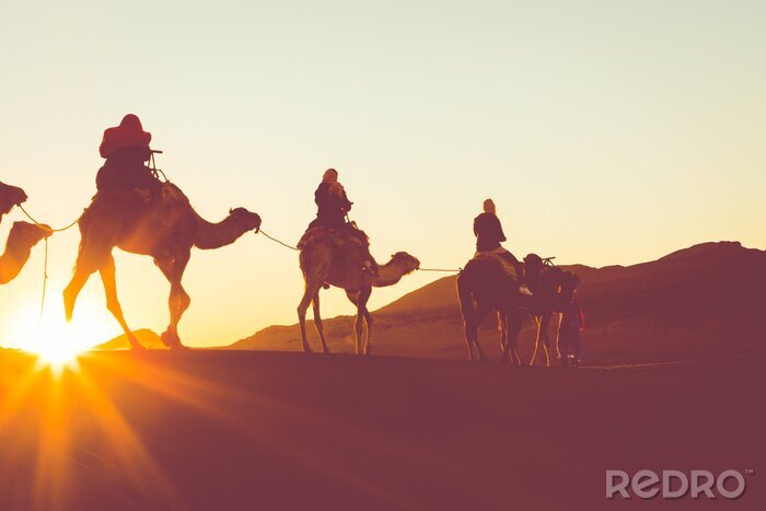 Poster  Camel caravane avec des gens qui traversent les dunes de sable dans le désert du Sahara. Maroc, Afrique.
