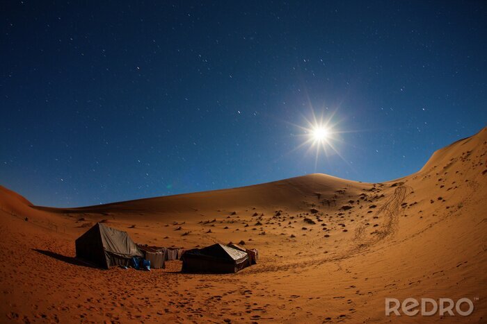 Poster  Camp dans le désert du Sahara dans la nuit avec la lune comme étoile et l'étoile se déplaçant