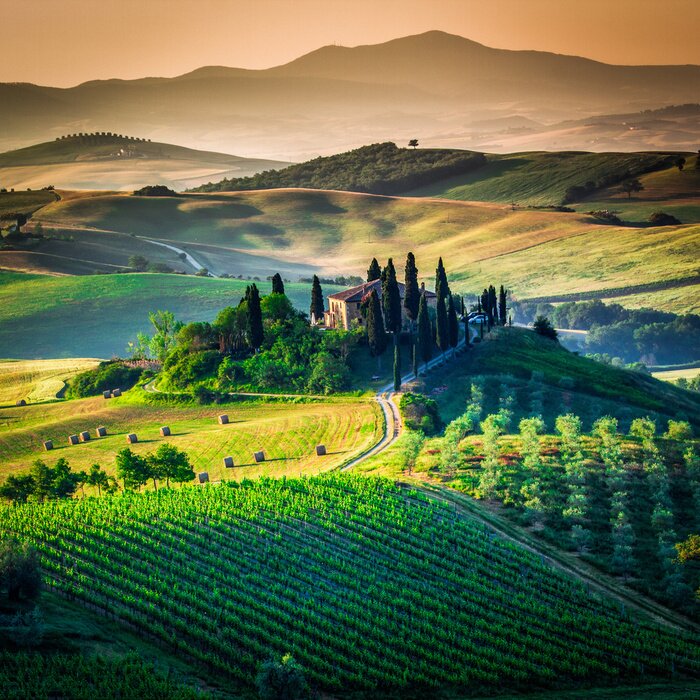 Poster  Campagne toscane