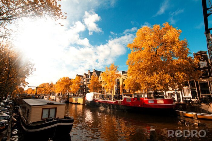 Poster  Canal avec des bateaux à Amsterdam