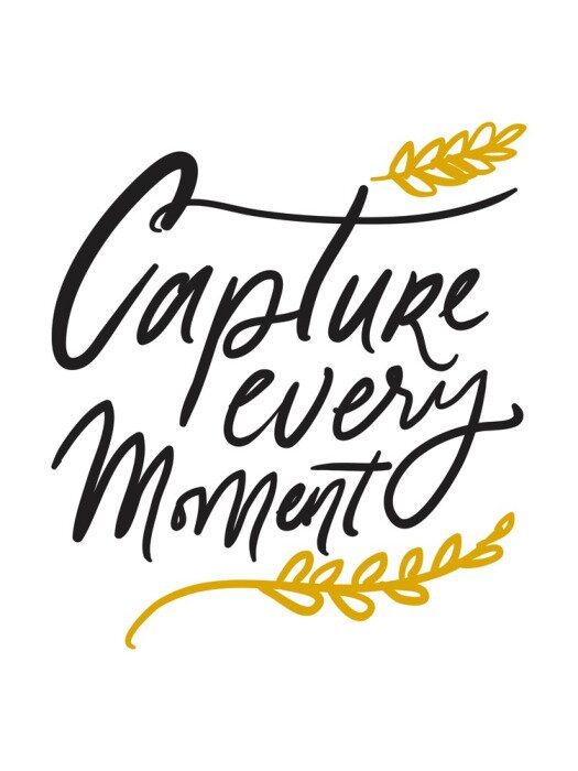 Poster  Capturez le moment. Main lettrage motivation motivation pour votre conception