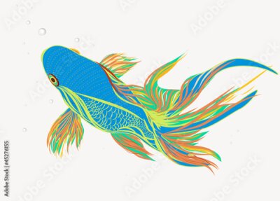 Poster  Carpes koï colorées