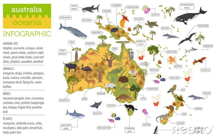 Poster  Carte de la flore et de la faune Australie et Océanie, éléments plats. Les animaux, les oiseaux et la vie marine grand ensemble. Construisez votre collection d'infographies géographiques