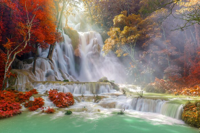 Poster  Cascade dans la forêt tropicale