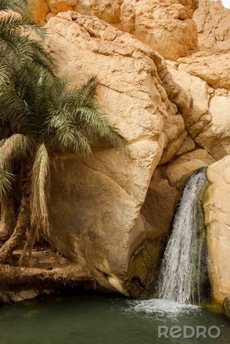 Poster  Cascade dans oasis de montagne de Chebika en Tunisie