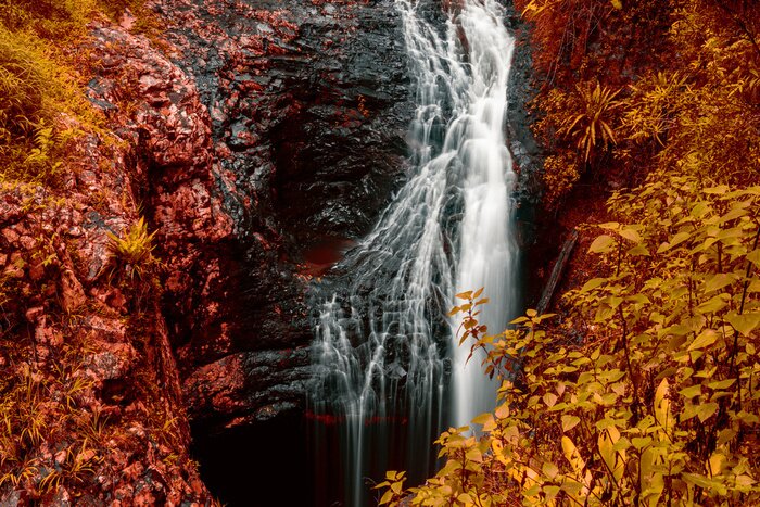 Poster  Cascade de pont naturel à Springbrook dans le Queensland avec le feuillage rouge.