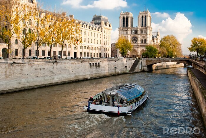 Poster  Cathédrale Notre-Dame à Paris