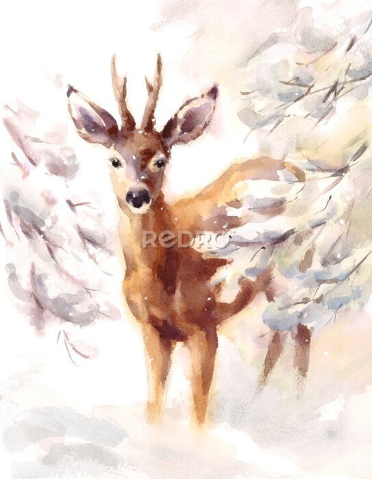 Poster  Cerf dans la neige version aquarelle