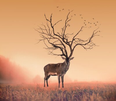 Poster  Cerf élaphe abstrait dans une prairie