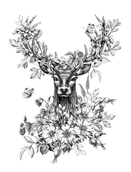 Poster  Cerf noir et blanc et fleurs