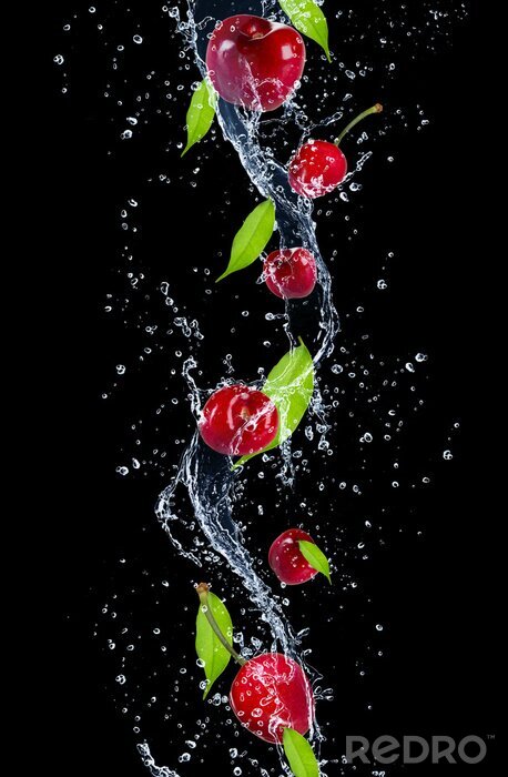 Poster  Cerises et feuilles baignant dans l'eau