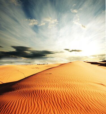 Champ de sable dans le désert