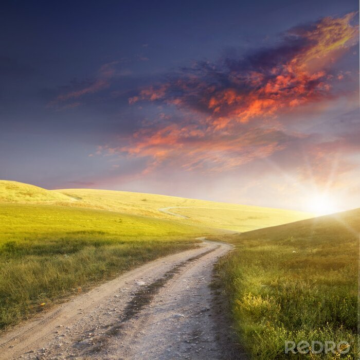 Poster  Champ de verdure sur fond de soleil couchant