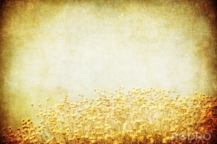 Poster  Champ sur fond vintage