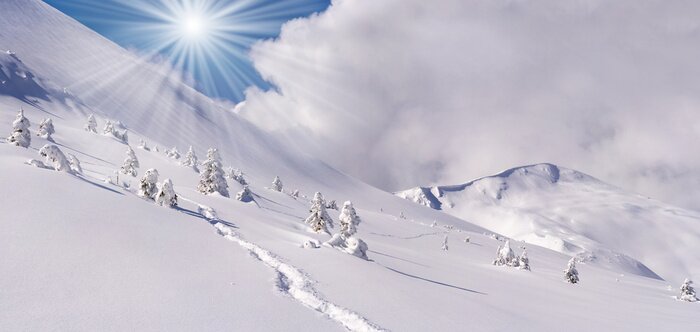 Poster  Champs couverts de neige