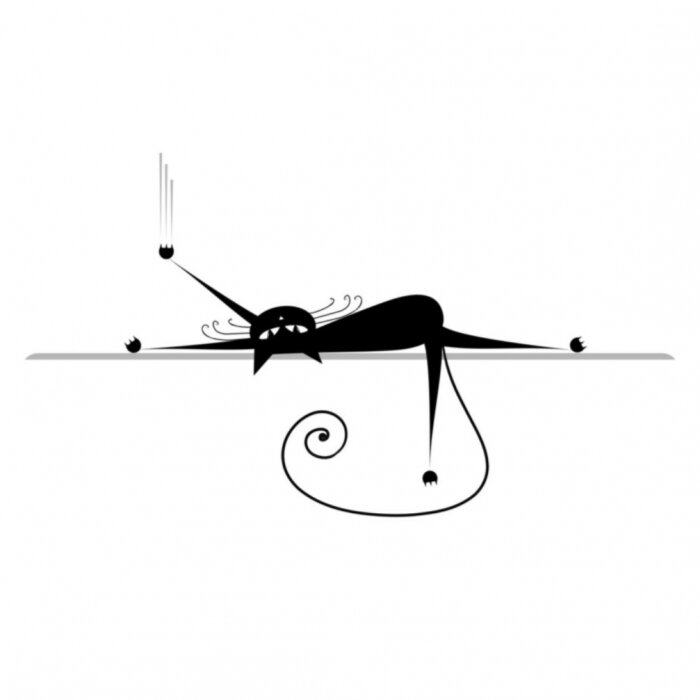 Poster  Chat étiré pour animaux de compagnie