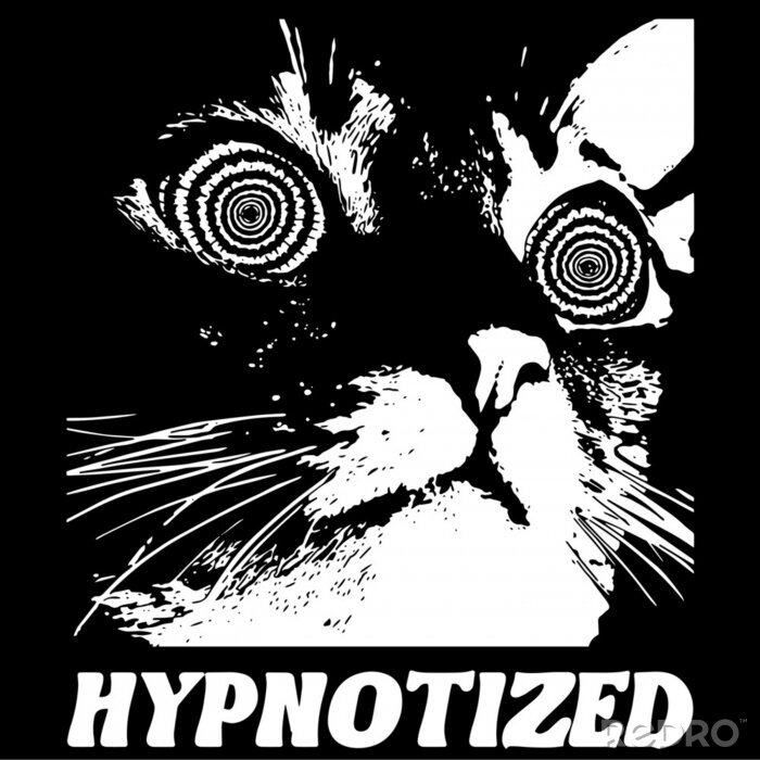 Poster  Chat hypnotisé avec de grands yeux