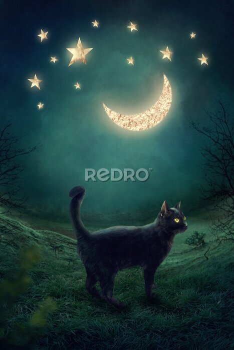 Poster  Chat lunaire noir