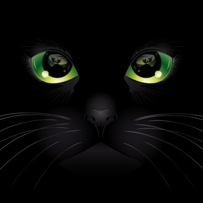 Poster  Chat noir aux yeux verts