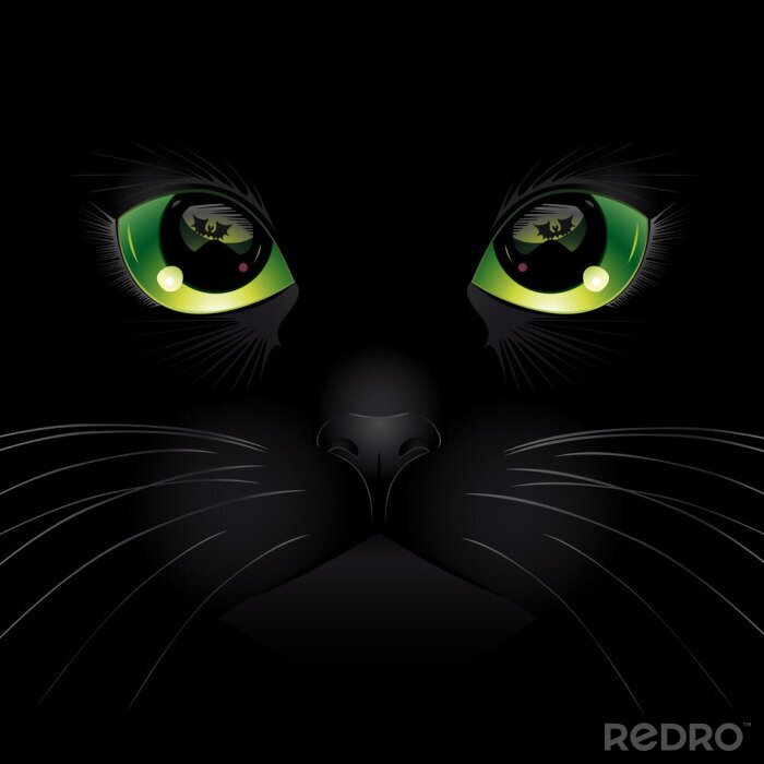 Poster  Chat noir aux yeux verts