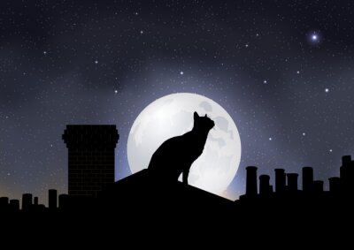 Poster  Chat noir et la lune
