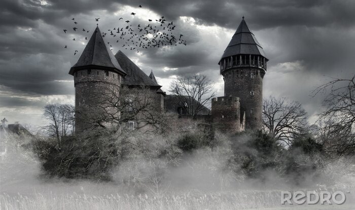 Poster  Château mystérieux en noir et blanc