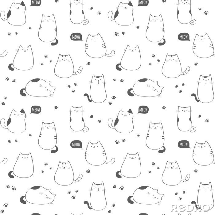 Poster  Chatons rigolos sur fond blanc