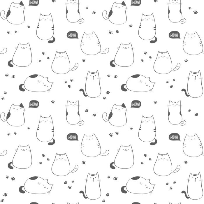 Poster  Chatons rigolos sur fond blanc