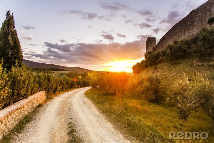 Poster  Chemin en Toscane au coucher du soleil