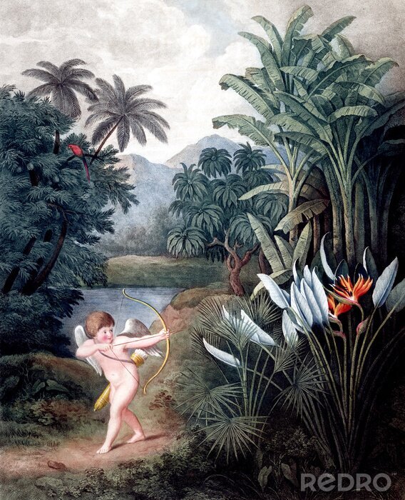 Poster  Chérubin dans la forêt tropicale