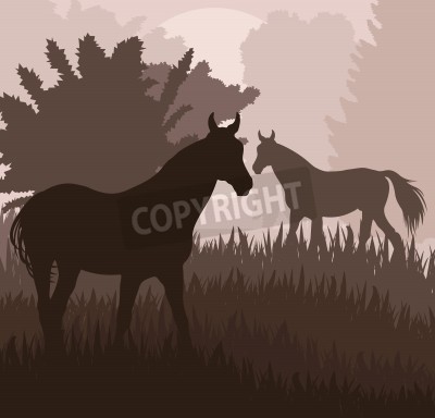 Poster  Chevaux dans le pré