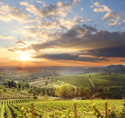 Chianti paysage viticole en Toscane, Italie