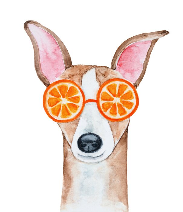 Poster  Chien dans des verres à fruits