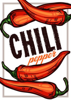 Poster  Chili pepper color vector illustration. Hand drawn poster or card with vegetables. Sketch food design