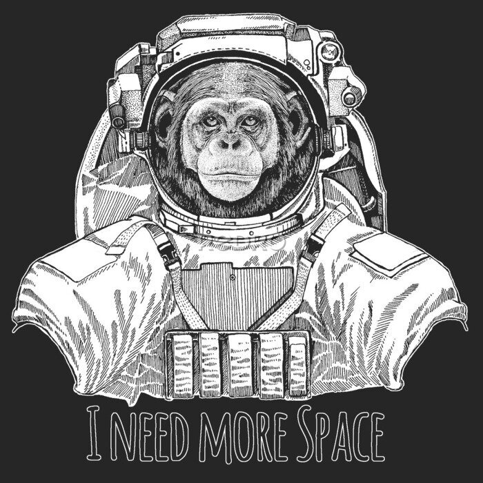 Poster  Chimpanzee, portrait. Wild animal wearing space suit. Monkey face. Ape head.
