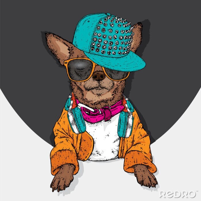 Poster  Chiot élégant dans une casquette, des lunettes et des écouteurs. Un chien de race dans les vêtements et accessoires. Style de mode. Chihua drôle.
