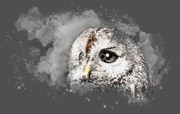 Poster  Chouette aquarellée avec de grands yeux sur un fond gris