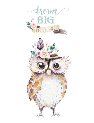 Chouette avec un panache