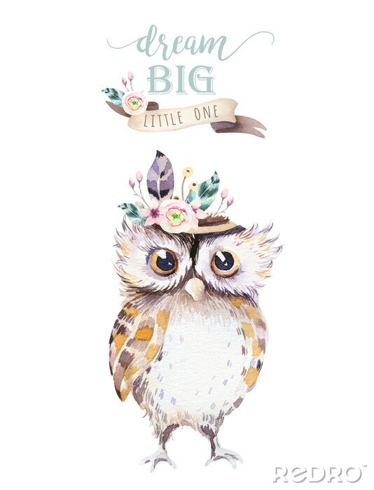 Poster  Chouette avec un panache