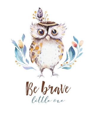 Chouette colorée aquarelle