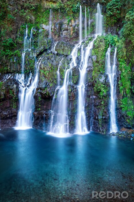 Poster  Chute d'eau au milieu de la forêt