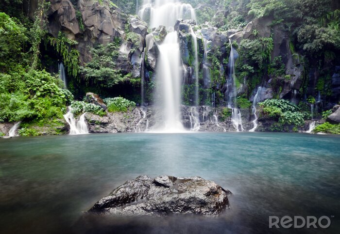 Poster  Chute d'eau et nature
