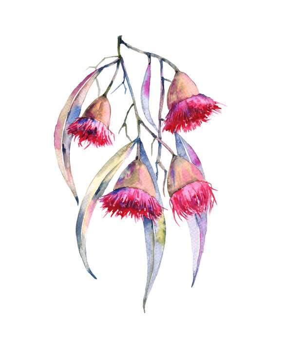 Poster  Chute de fleurs aquarelles roses