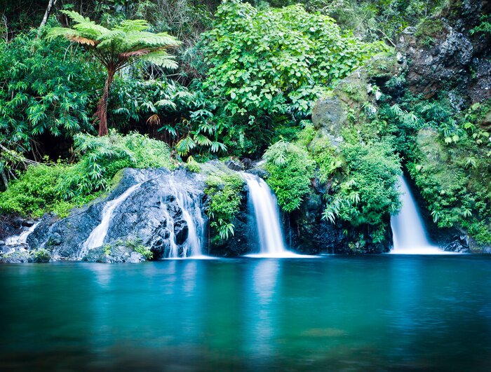 Poster  Chutes d'eau et verdure
