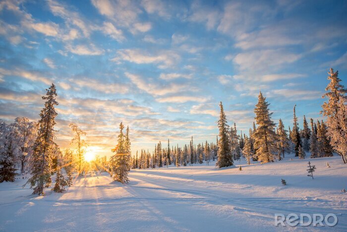 Poster  Ciel d'hiver au lever du soleil
