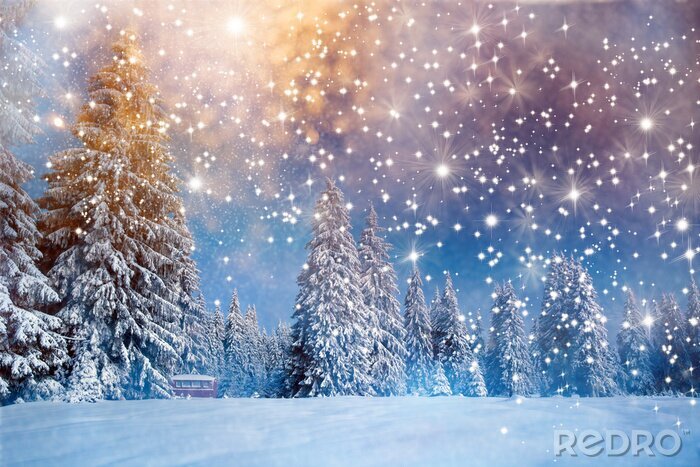 Poster  Ciel d'hiver illuminé d'étoiles