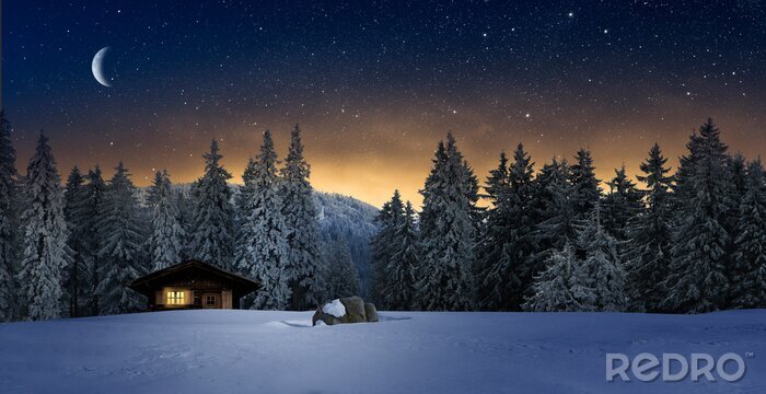 Poster  Ciel nocturne d'hiver au-dessus de la forêt